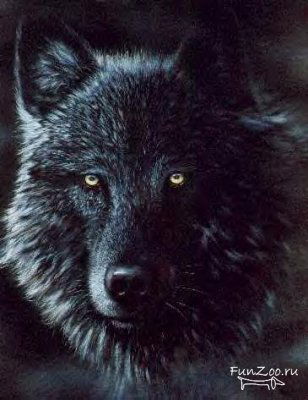 ==Sarton== ==Sarton==