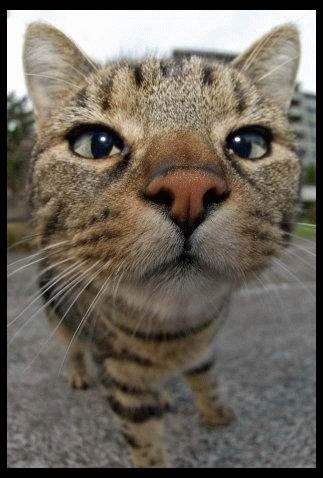 Валентина Хохлова