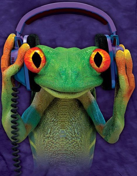 Константин Толмачев