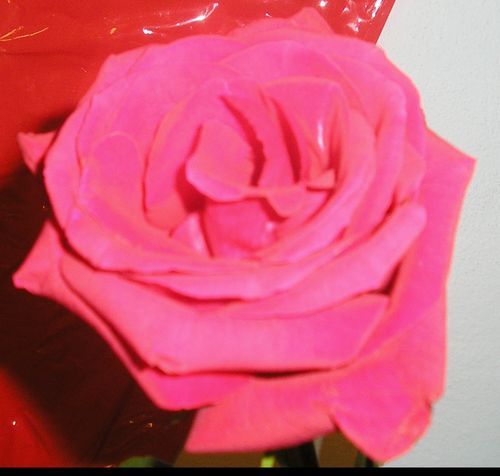 Деловой Центр