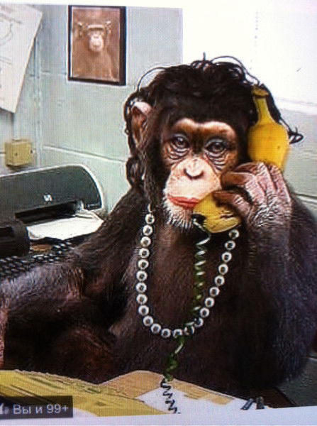 Людмила Капунина