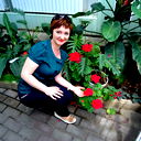 Елена Сиренко