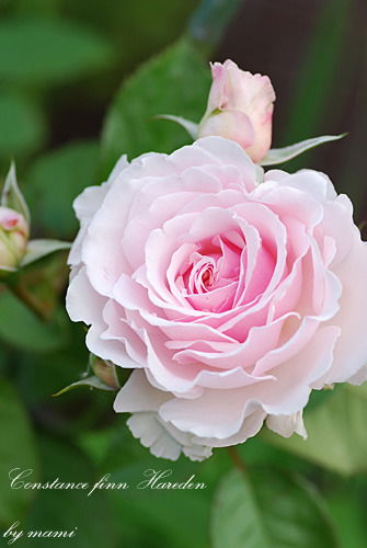 Татьяна Пономарева