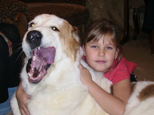 Анна Сухарева