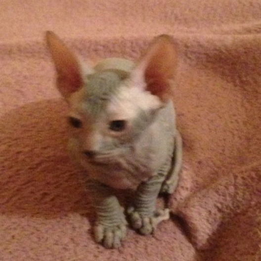 Наталья Руппель