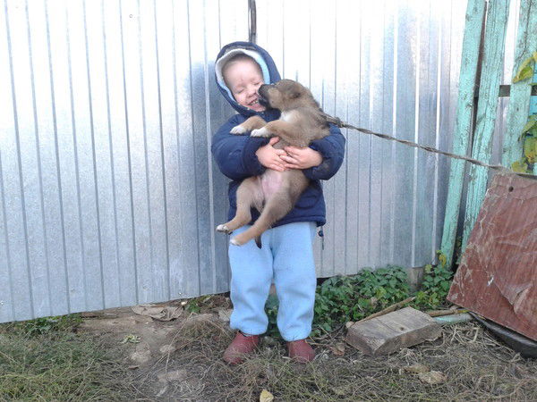 Андрей Борисов