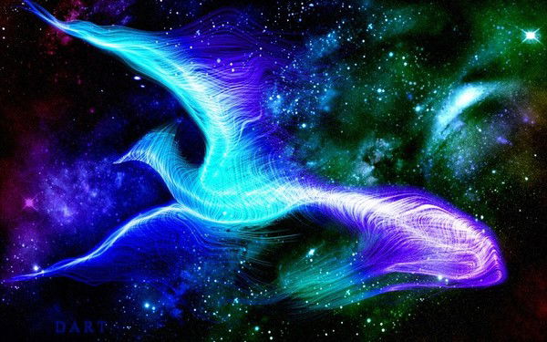 Марина Кокоткина