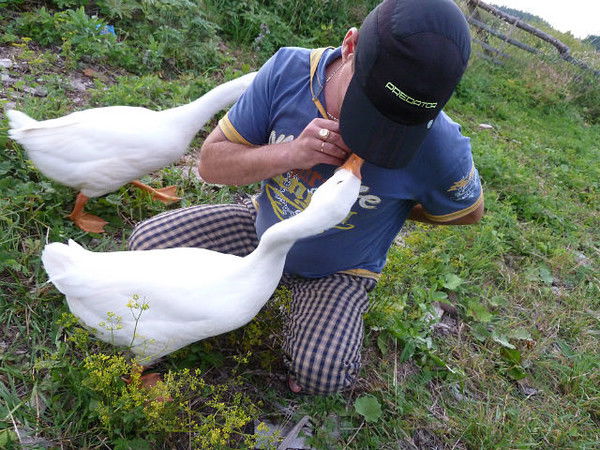 Вильям Салиев
