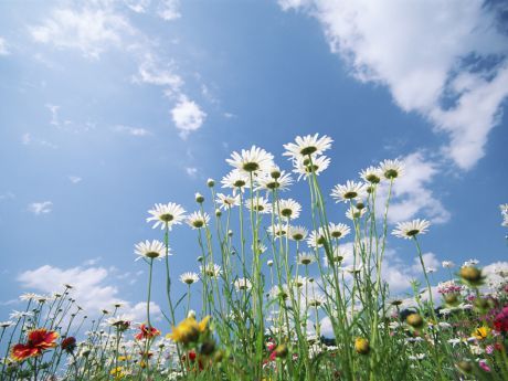 Нуршат Жалгасбаева