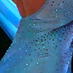 Анжела Рожкова