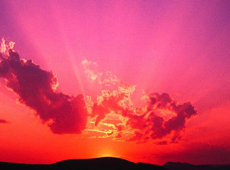 Юрий Запорожец