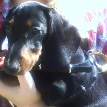 Игорь Вартаваньян