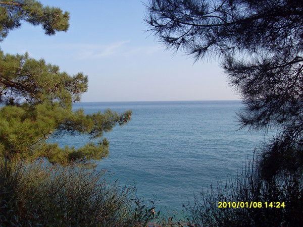 Ольга Зеленская