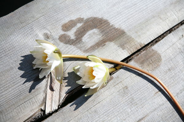 Валентинка Ситникова