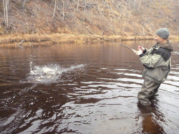 Евгений Митрофанкин