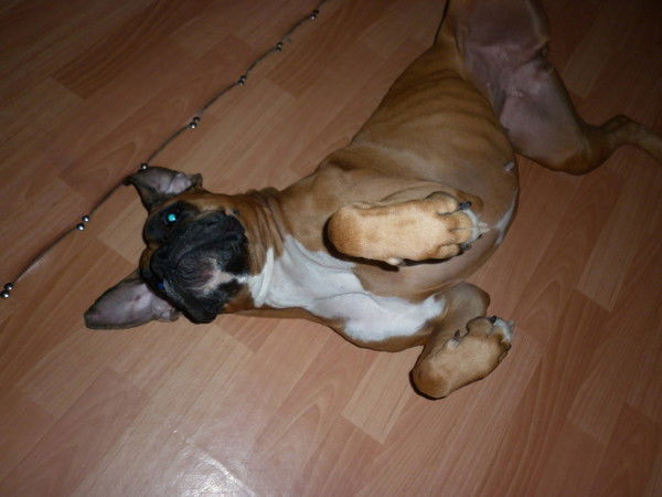 Олеся Тундыкова