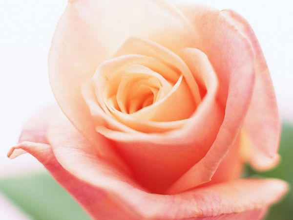 Гузелия Сулейманова