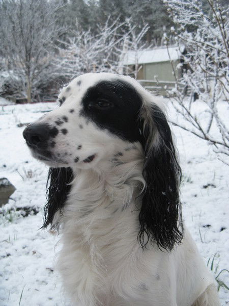 Галина Корякина