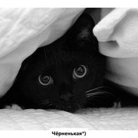 Ангелина Орехова