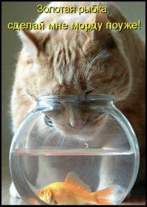 Светлана Эдигер