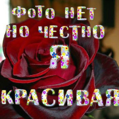 Людмила Алейникова