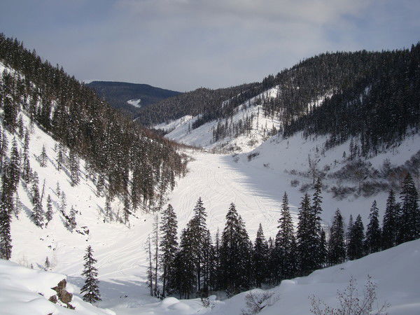 Альберт Корнеев