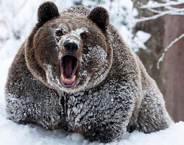 Потап Потапов