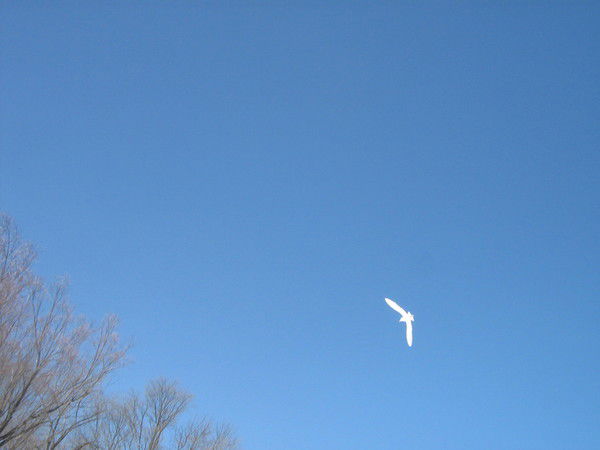 Геннадий Апполонов