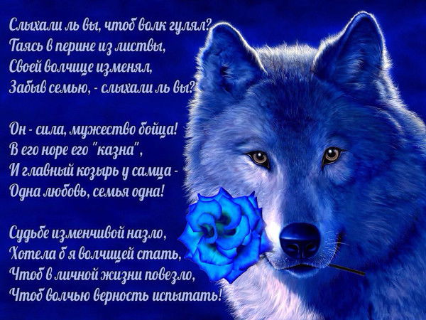 Жанерке Галия