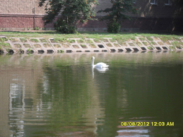 Танюшка Демченко