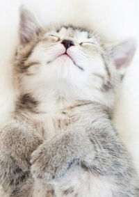 Софья Глазунова