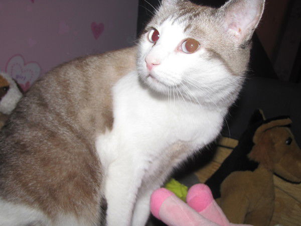 Ксения Тимонова