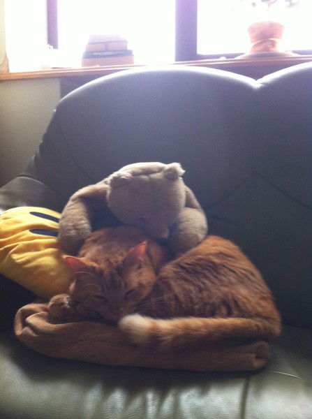 Валера Шаблий