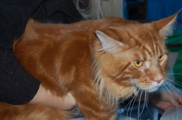 Жорж Помпиду