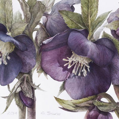 Мария Селезнёва