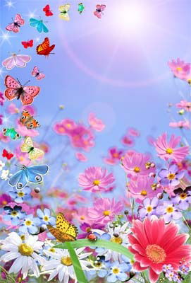 Албина Шадыбекова