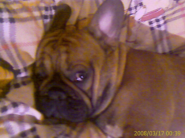 Эдуард Анохин