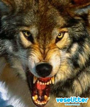 Алексей Хромылёв