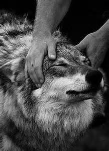 Надежда Лпу №21