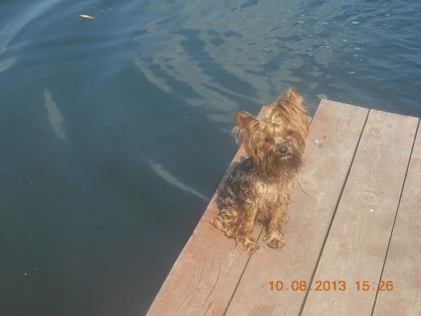 Марина Озерова-Овсяникова