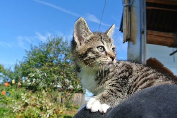 Дарья Строгова