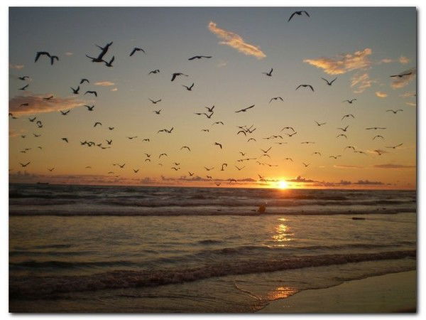 Елена Хлебникова