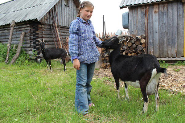 Дарья Куракина