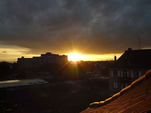 Екатерина Алина