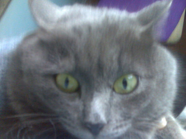 Зульфия Байдюсенова