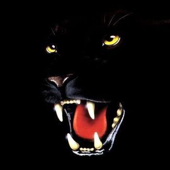 Андрей Кудрявкин