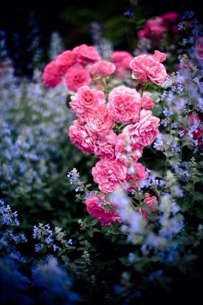 Жанагуль Мырзабулатова