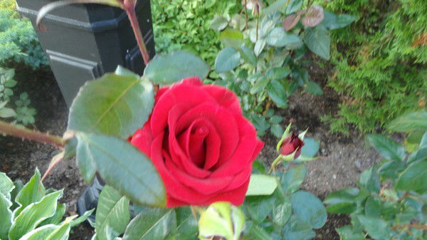 Татьяна Гаврилова