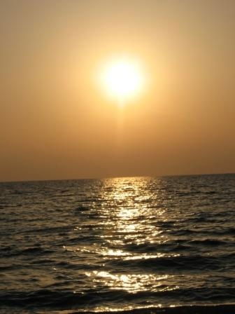 Алексей Романов