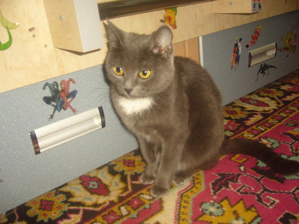 Аська Адреисова